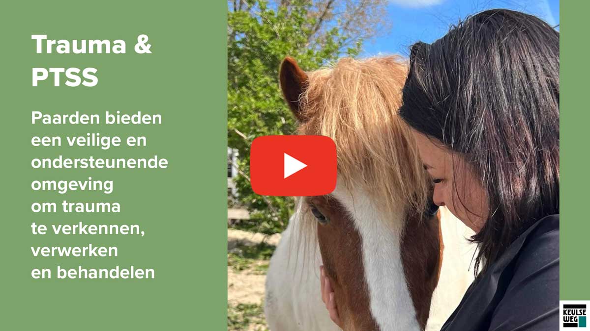 Equine assisted coaching voor kinderen