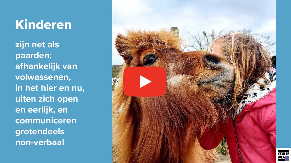 Equine assisted coaching voor kinderen