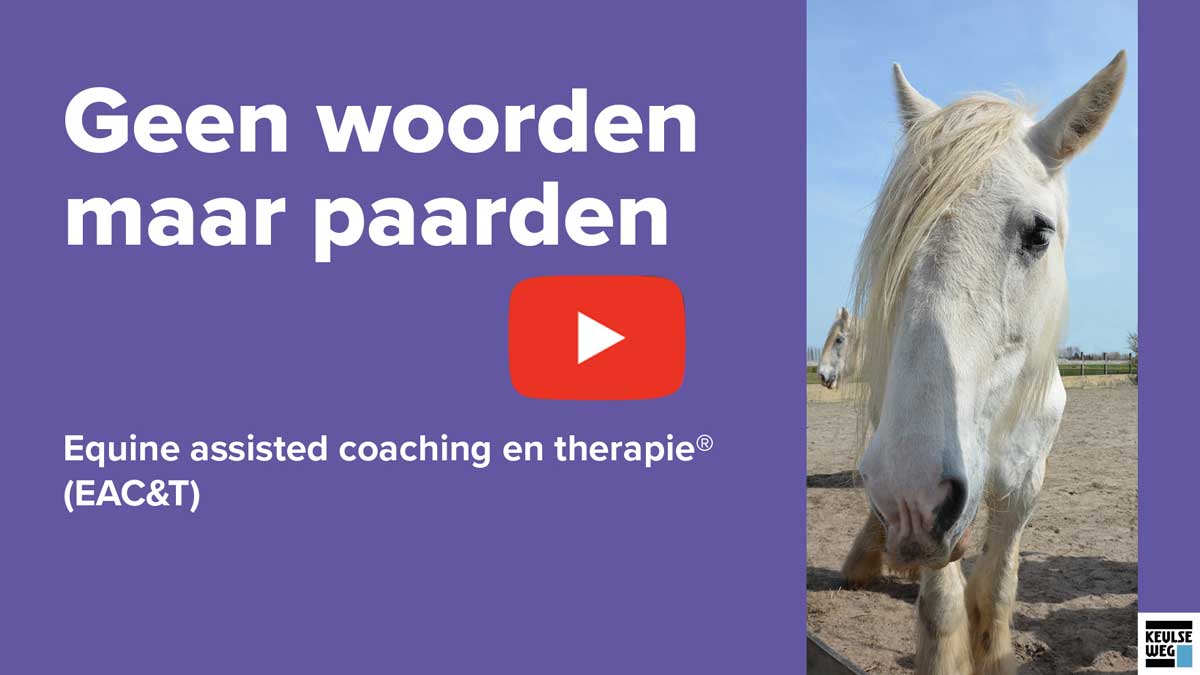 Equine assisted coaching voor kinderen