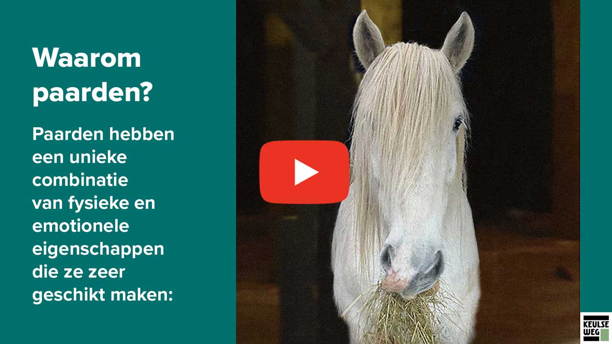 Equine assisted coaching voor kinderen